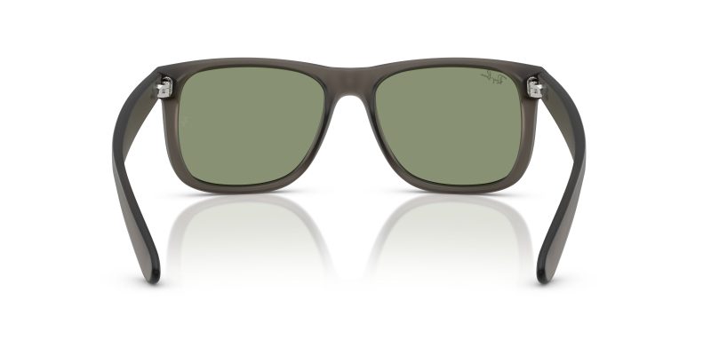 Rayban JUSTIN RB4165F-687382 - Back View