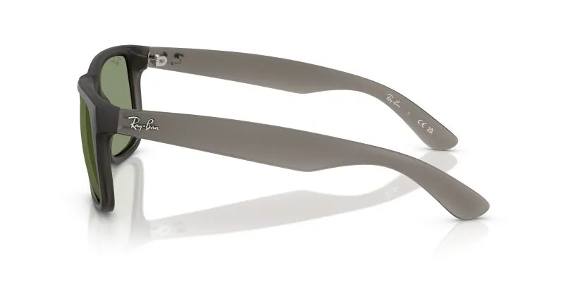 Rayban JUSTIN RB4165F-687382 - Side View