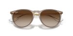 Rayban ERIKA RB4171F-674413 - Folded View Rayban ERIKA RB4171F-674413 - Folded View