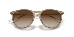 Rayban ERIKA RB4171F-674413 - Folded View Rayban ERIKA RB4171F-674413 - Folded View
