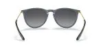 Rayban ERIKA RB4171-6592T3 - Back View