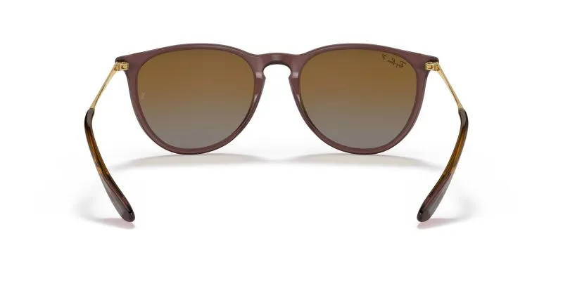 Rayban ERIKA RB4171-6593T5 - Back View