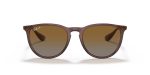 Rayban ERIKA RB4171-6593T5