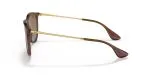Rayban ERIKA RB4171-6593T5 - Side View