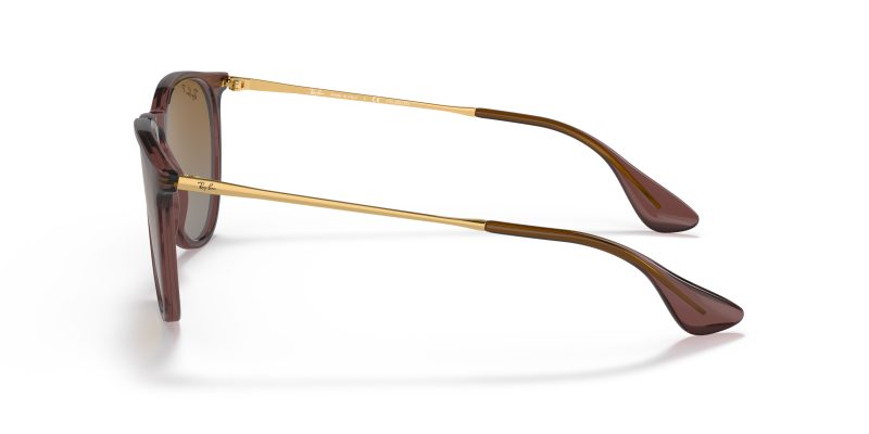 Rayban ERIKA RB4171-6593T5 - Side View