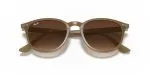 Rayban RB4259F 616613 - Folded View Rayban RB4259F 616613 - Folded View