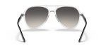 Rayban RB4376-647711 - Back View
