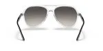 Rayban RB4376-647711 - Back View