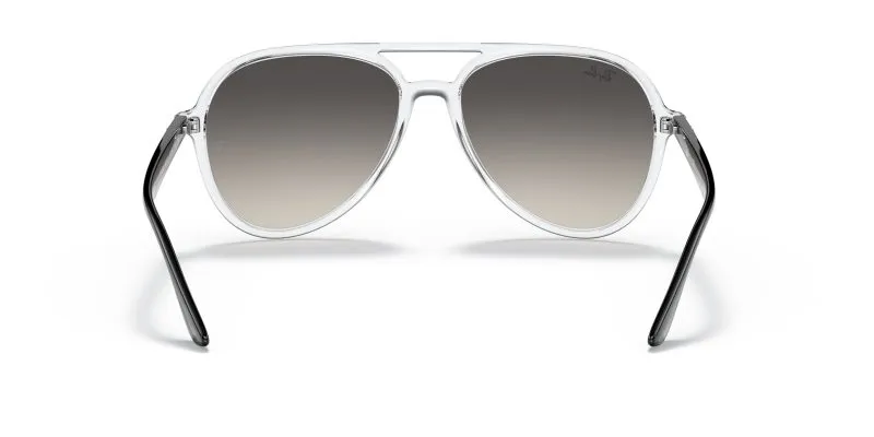Rayban RB4376-647711 - Back View