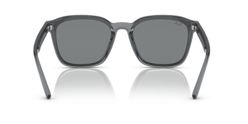 Rayban RB4392D-645087 - Back View