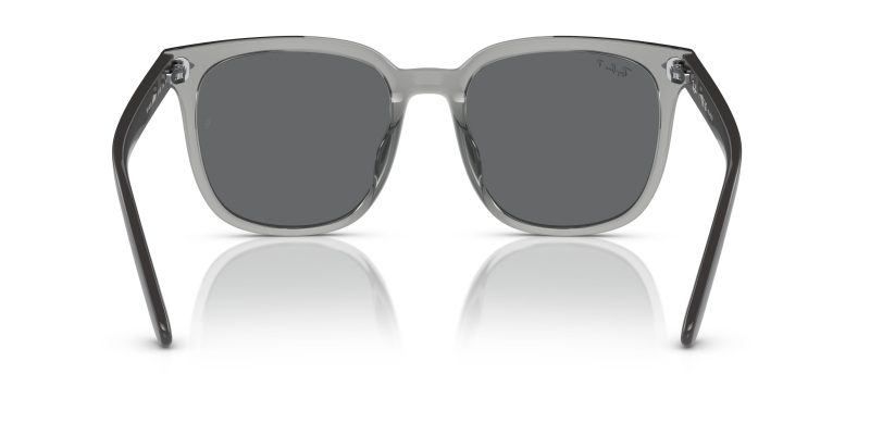 Rayban RB4401D-659981 - Back View