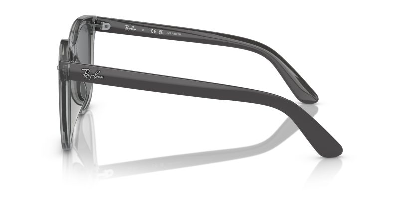 Rayban RB4401D-659981 - Side View