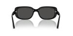 Rayban RB4421D-667787 - Back View