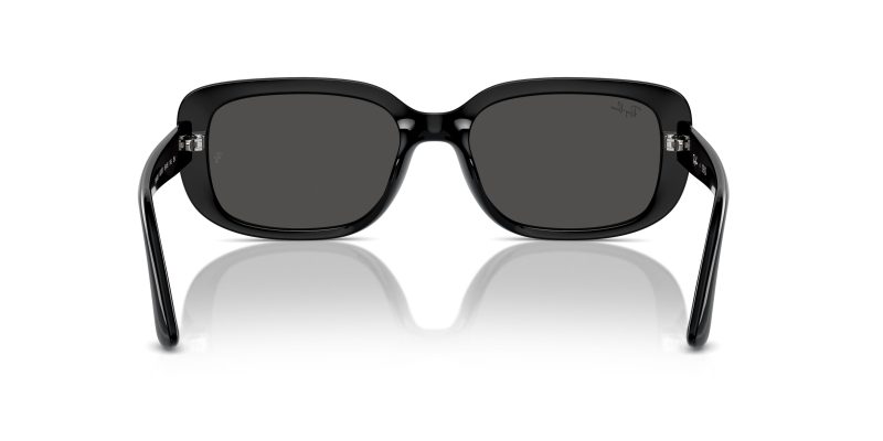Rayban RB4421D-667787 - Back View