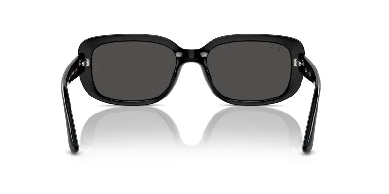 Rayban RB4421D-667787 - Back View