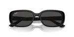 Rayban RB4421D-667787 - Folded View Rayban RB4421D-667787 - Folded View