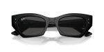 Rayban ZENA RB4430F-667787 - Folded View
