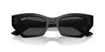 Rayban ZENA RB4430F-667787 - Folded View