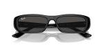 Rayban RB4436D-667787 - Folded View