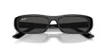 Rayban RB4436D-667787 - Folded View