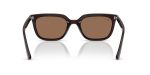 Rayban RB4439D-623173 - Back View