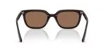 Rayban RB4439D-623173 - Back View