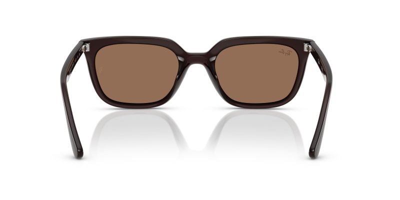 Rayban RB4439D-623173 - Back View