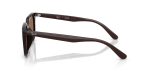 Rayban RB4439D-623173 - Side View