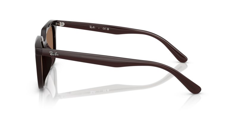 Rayban RB4439D-623173 - Side View