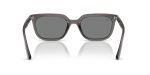 Rayban RB4439D-667587 - Back View