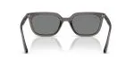 Rayban RB4439D-667587 - Back View
