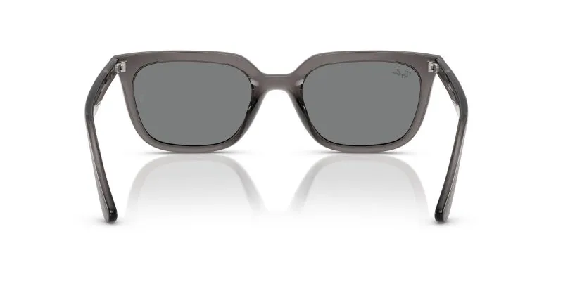 Rayban RB4439D-667587 - Back View