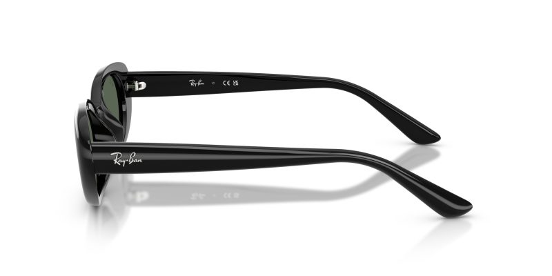 Rayban RB4441D-667771 - Side View