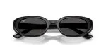 Rayban RB4441D-667787 - Folded View