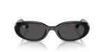 Rayban RB4441D-667787
