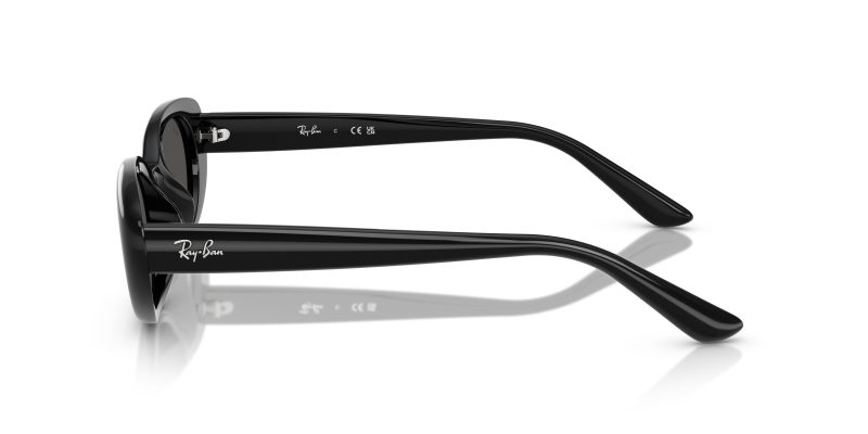 Rayban RB4441D-667787 - Side View