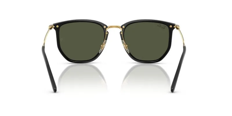 Rayban RB4451-630631 - Back View