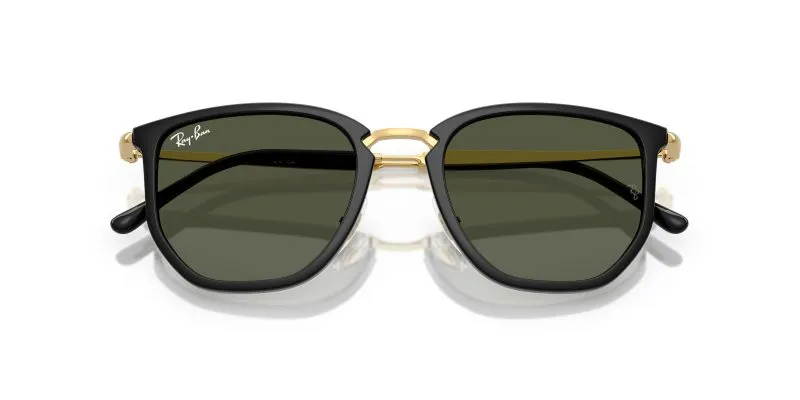 Rayban RB4451-630631 - Folded View