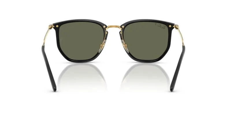 Rayban RB4451-630658 - Back View
