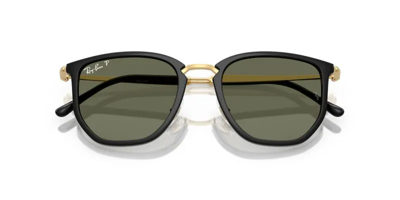 Rayban RB4451-630658 - Folded View