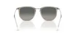 Rayban RB4451-680271 - Back View
