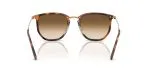 Rayban RB4451-680451 - Back View