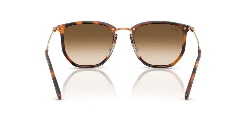 Rayban RB4451-680451 - Back View