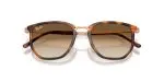 Rayban RB4451-680451 - Folded View