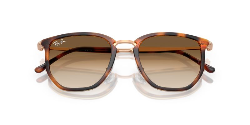 Rayban RB4451-680451 - Folded View