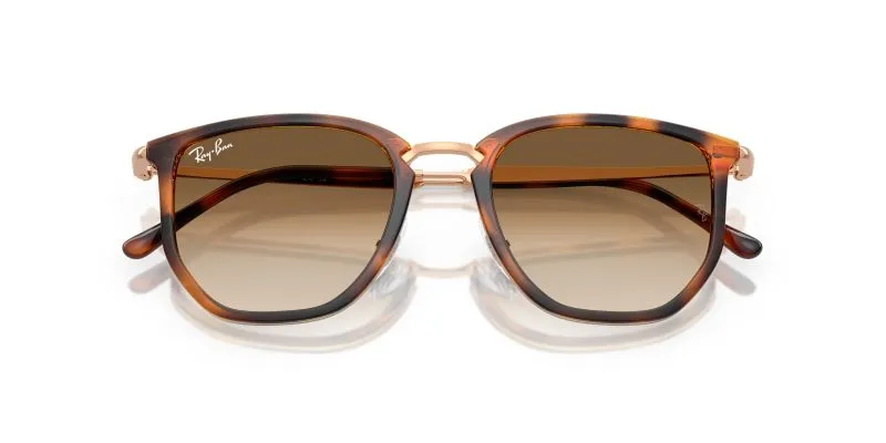 Rayban RB4451-680451 - Folded View