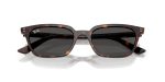 Rayban ZAYA RB4456F-135987 - Folded View
