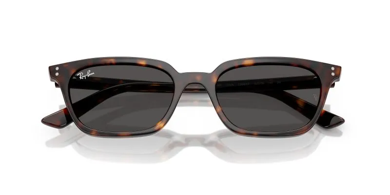 Rayban ZAYA RB4456F-135987 - Folded View