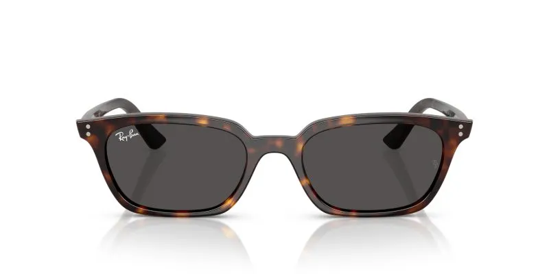 Rayban ZAYA RB4456F-135987 Rayban ZAYA RB4456F-135987