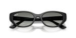 Rayban RB4457D-667711 - Folded View